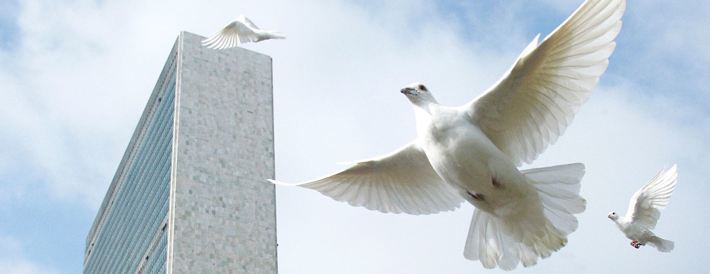 联合国总部放飞鸽子，作为纪念国际和平日仪式的一部分。