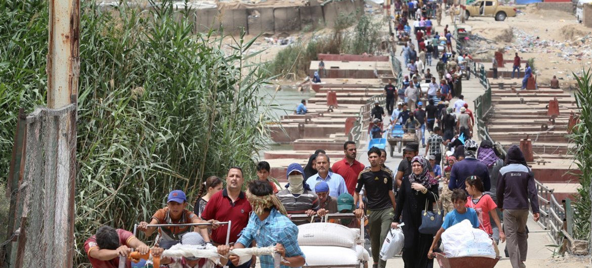 Families fleeing violence in Ramadi, Anbar province, walk across Bzebiz Bridge into Baghdad province in Iraq.