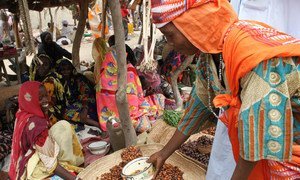 Une femme achète des dattes au marché de la ville de Bol, proche du lac Tchad.