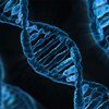 教科文组织专家呼吁禁止就牵涉到遗传种系的人类DNA进行修改并鼓励公众对此进行讨论。教科文组织网站图片