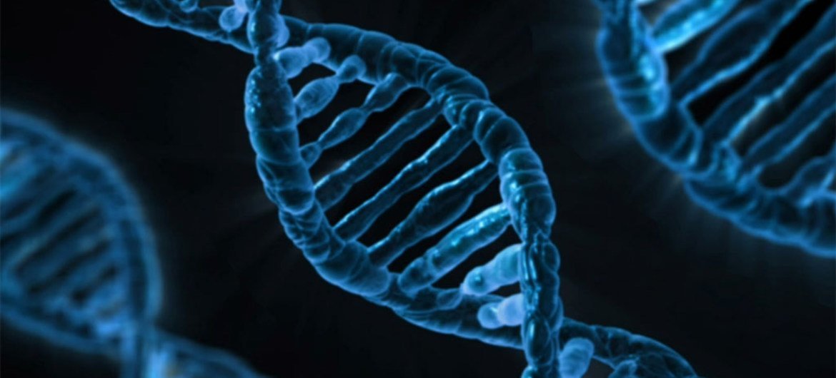 教科文组织专家呼吁禁止就牵涉到遗传种系的人类DNA进行修改并鼓励公众对此进行讨论。教科文组织网站图片