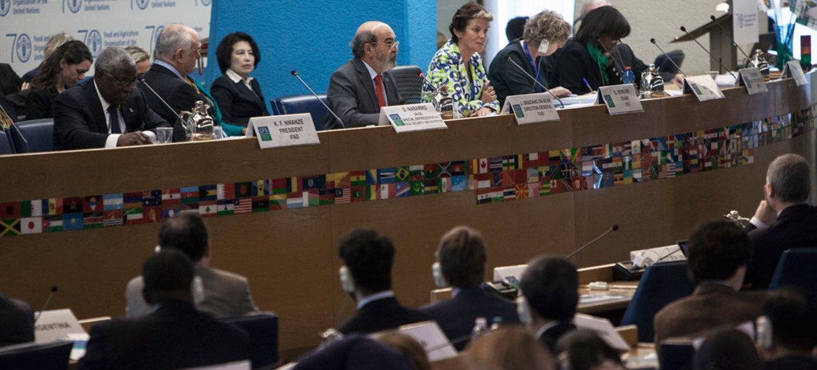 المدير العام للفاو خوزيه غرازيانو دا سيلفا يتحدث أمام لجنة الأمن الغذائي العالمي. المصدر: الفاو / جوليو نابوليتانو.