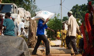 A WFP distribution point in Bangui, Central African Republic. 