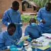埃博拉疫苗接种队在几内亚工作。世界卫生组织/S. Hawkey