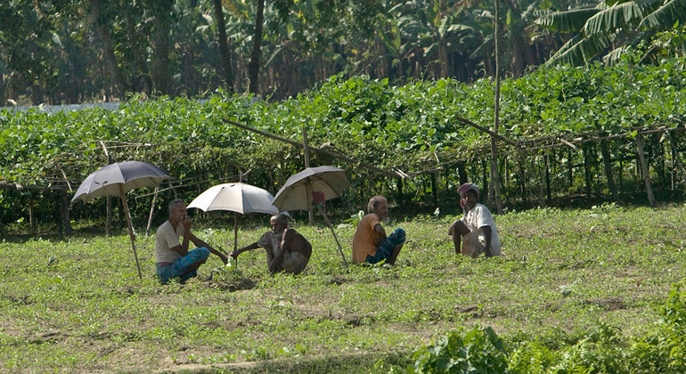 From the Field: Pioneer brings farming jobs to marginalized Bangladesh communities