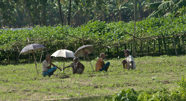 wafanyakazi wa mashambani Bogra, Bangladesh ( Maktaba)