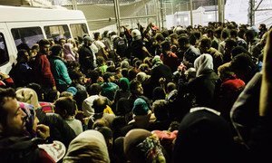 En Grèce, une foule de réfugiés syriens attend à l'extérieur du Centre d'identification de Moria pour s'enregistrer auprès des autorités locales avant de poursuivre leur voyage vers l'Europe centrale. Photo : HCR / Achilleas Zavallis