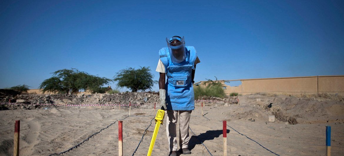联合国排雷人员。马里稳定团图片/Marco Dormino