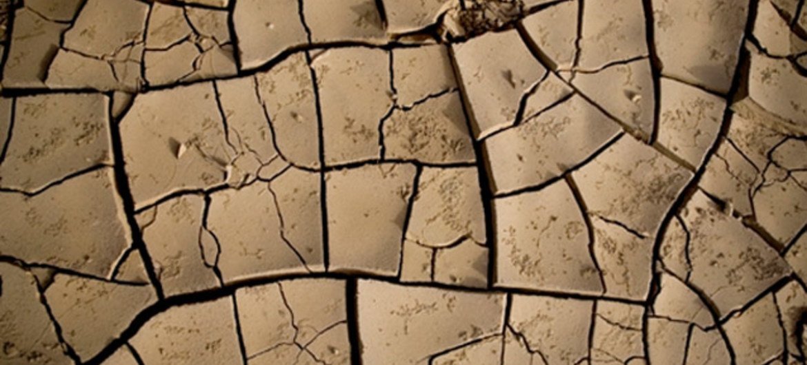 埃塞俄比亚的干旱  联合国图片