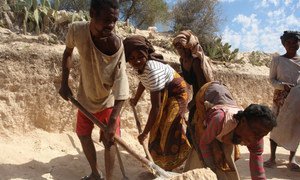 Des communautés vulnérables de Behara, dans le sud de Madagascar frappé par la sécheresse