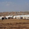 مخيم للاجئين في العراق. المصدر: يونامي