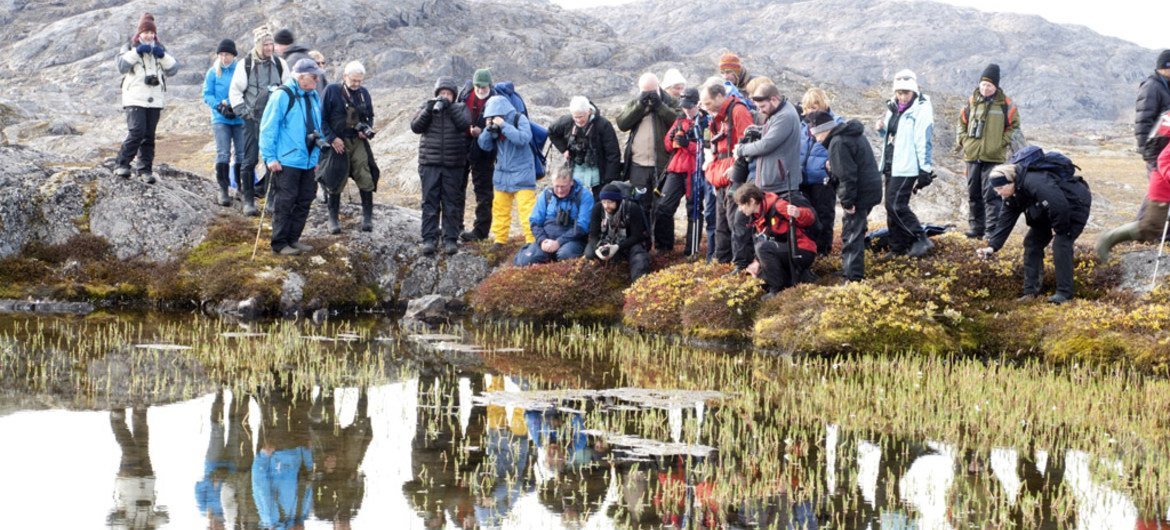 Tourists studying life in a water pool on Bear Islands, Ofjord, Northeast Greenland National Park.