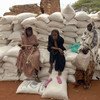 مجموعة من النساء يجلسن على أكياس من الأرز والذرة في واجير في كينيا. 