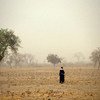 Walking through fields in Mali.