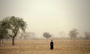 Walking through fields in Mali.