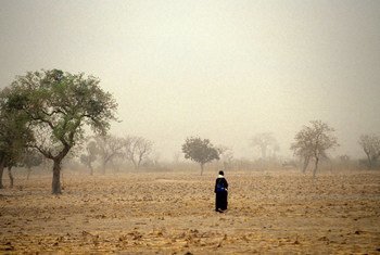 Walking through fields in Mali.