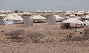 Vue d'ensemble sur le camp de réfugiés de Markazi, à Djibouti.