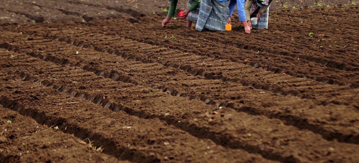 Tres mujeres plantan semillas en una granja en Chimaltenango, en Guatemala. 