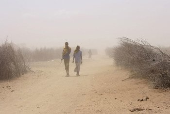Starting in 2011, drought-hit northern and eastern Kenya suffered especially from an already poor food security situation, exacerbated by high food and fuel prices.
