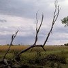 View of plains in Botswana.