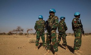 Photo MINUSMA/Marco Dormino