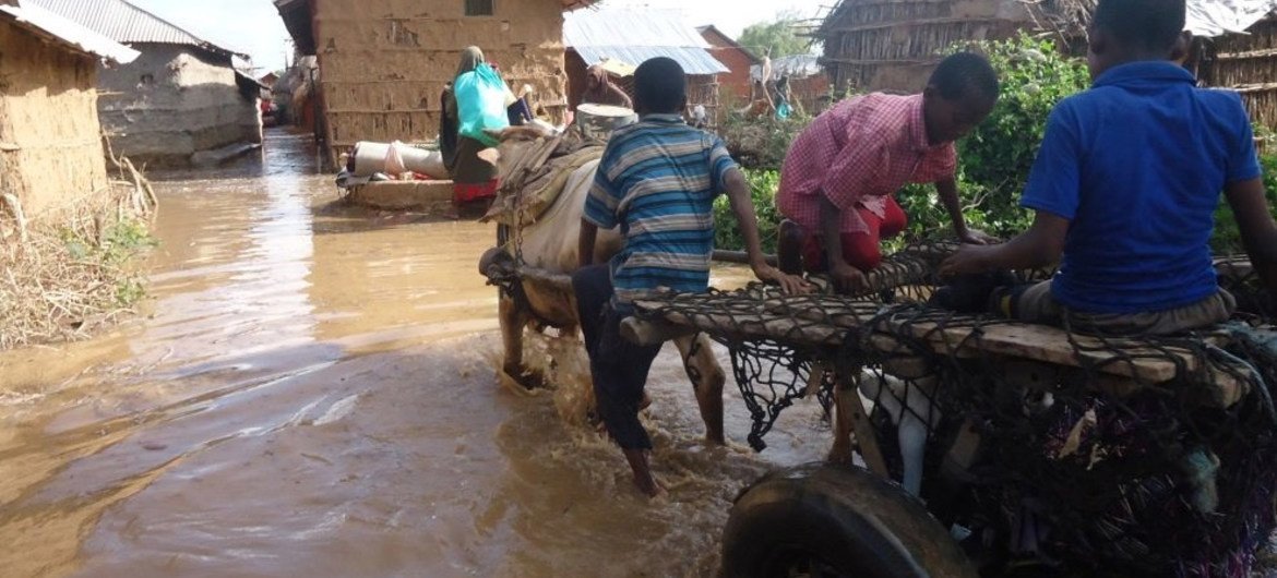 الوضع الغذائي في الصومال مثير للقلق بسبب ضاهرة النينيو. الصورة: مكتب الأمم المتحدة لتنسيق الشؤون الإنسانية.