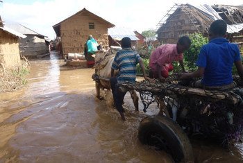  在索马里，由于谢贝利河和朱巴河的水位上涨，洪水一直影响着低洼地区的人们。