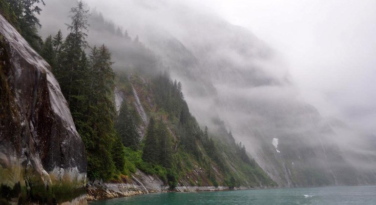 Boreal forests line a misty fjord in southeast Alaska (file). FAO/Bill Ciesla