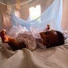 加纳一位婴儿被放置在防疟蚊帐中。图片：世界银行/Arne Hoe