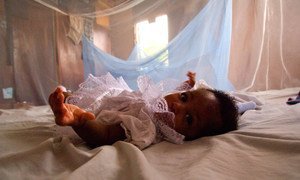 Infant surrounded by malaria bed net, Ghana.