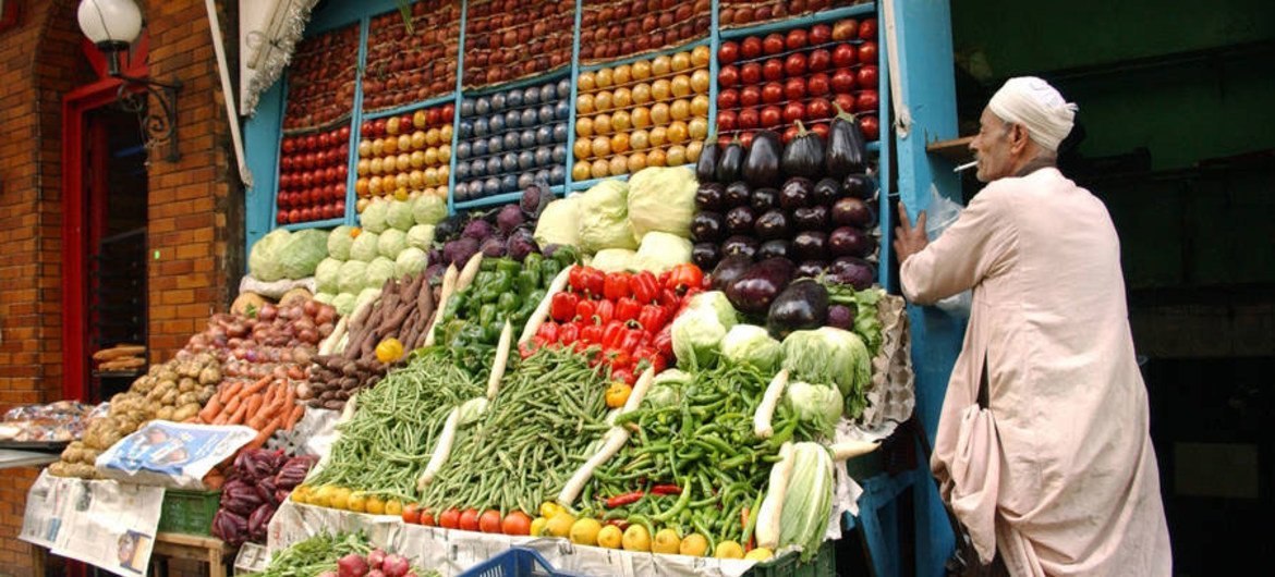 الفواكه والخضروات الطازجة تباع في شارع في الجيزة، مصر