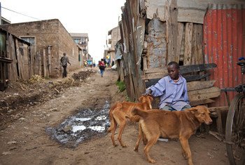 Environ 80% des personnes exposées à la rage vivent dans des zones rurales pauvres d'Afrique et d'Asie sans accès au traitement rapide si elles sont mordues.