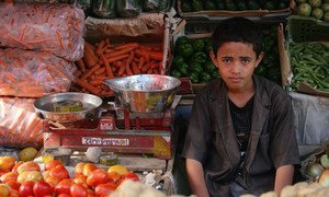 A boy sells vegetables at the Taiz Governorate Osaifera vegetable market in Yemen.