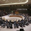 安理会就打击恐怖主义的筹资问题举行财长会议并通过决议   联合国图片／Evan Schneider