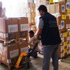منظمة الصحة العالمية قدمت أكثر من مئة طن من الأدوية والمستلزمات الطبية لأكثر من مليون مستفيد في ثمان مديريات بمحافظة تعز اليمنية. تصوير: منظمة الصحة العالمية في اليمن
