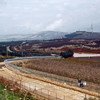 The Blue Line, the boundary between Lebanon and Israel, near the water-rich Sheba’a Farms.