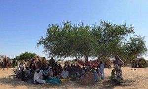 A group of people displaced from Blargui village on Lake Chad, found refuge in the Kafia site, hosting internally displaced persons.