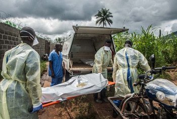 Des équipes chargées au Sierra Leone d'enterrer des victimes d'Ebola procèdaient à des enterrements de précaution.