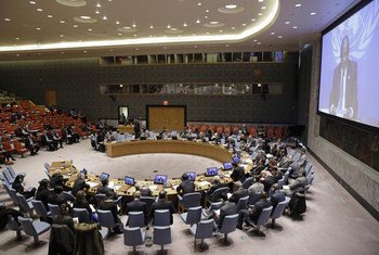 Special representative for the Democratic Republic of the Congo (DRC), Maman S. Sidikou (on screen), addresses the Security Council by video conference.