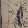 El mosquito Aedes es transmisor del virus del Zika. Foto:  Kate Mayberry/IRIN