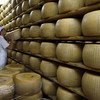 Сотрудник проводит контроль качества сыра Пармезан на сыроварне в Италии
