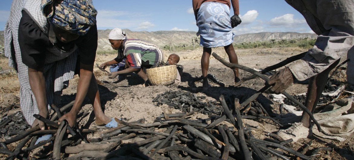 A family digs up pieces of wood on the outskirts of Gonaives, Haiti, which they burn in a pit to create charcoal for sale at the local markets. This demand, coupled with the lack of alternative employment, has contributed to the deforestation and erosion crisis in the country.