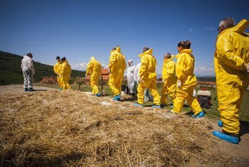 Health workers in Bulgaria train during an animal disease outbreak simulation exercise.