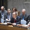 Заседание Совета Безопасности, посвященное роли Устава ООН Фото ООН/Рик Бахорнас