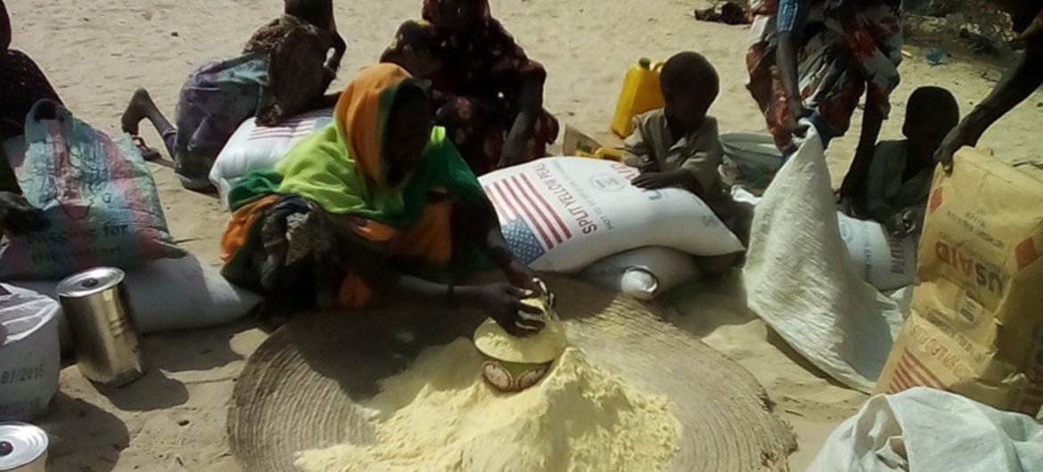 WFP and partners have reached thousands of people recently displaced by Boko Haram in Chad and Cameroon with life-saving food and nutrition support.