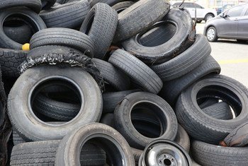 Discarded motor vehicle tyres are fertile breeding grounds for Aedes aegypti mosquitoes, carriers of the Zika virus.