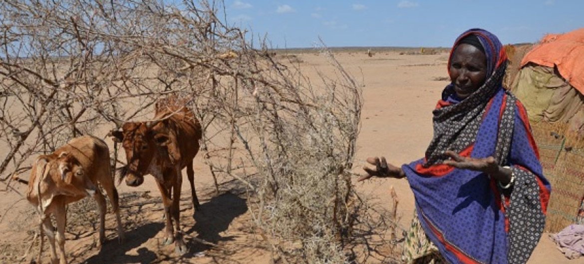 受厄尔尼诺极端气候现象影响，埃塞俄比亚遭遇30年来最严重干旱，1020万民众急需食物援助。粮食署图片/Melese Awoke
