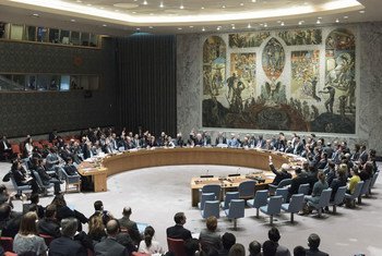 今年3月初，安理会一致通过决议对朝鲜施加第五轮制裁。联合国图片/Mark Garten