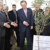 الأمين العام يزرع شجرة زيتون مع وزير خارجية الجزائر. الصورة: مركز الأمم المتحدة للإعلام بالجزائر