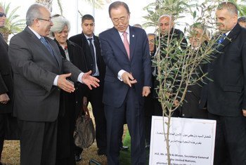 At the Ministry of Foreign Affairs of Algeria, UN Secretary-General Ban Ki-moon plants a tree of peace alongside Minister Ramtane Lamamra. 6 March, 2016.
